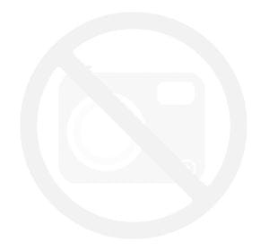 boots jimmy choo illicit flower