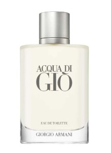 Giorgio Armani ACQUA DI GIO POUR HOMME edt 100ml tester