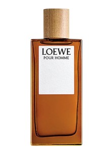 Loewe POUR HOMME edt 100ml tester