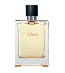 Hermes TERRE D'HERMES edt 100ml tester