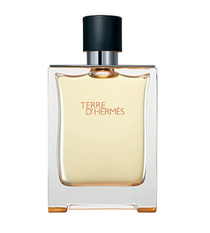 Hermes TERRE D'HERMES edt 100ml FLAKON.jpg