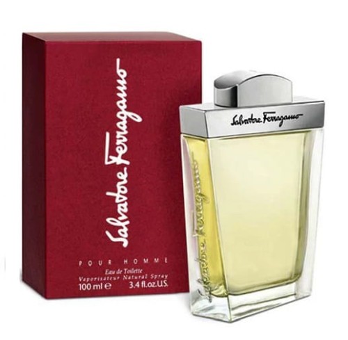 Salvatore Ferragamo POUR HOMME edt 100ml.jpg